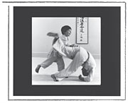 Aikido Video for Children