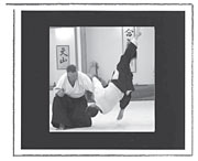 Aikido Video - Ukemi